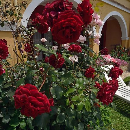 Eleni Apartments Roda  Dış mekan fotoğraf